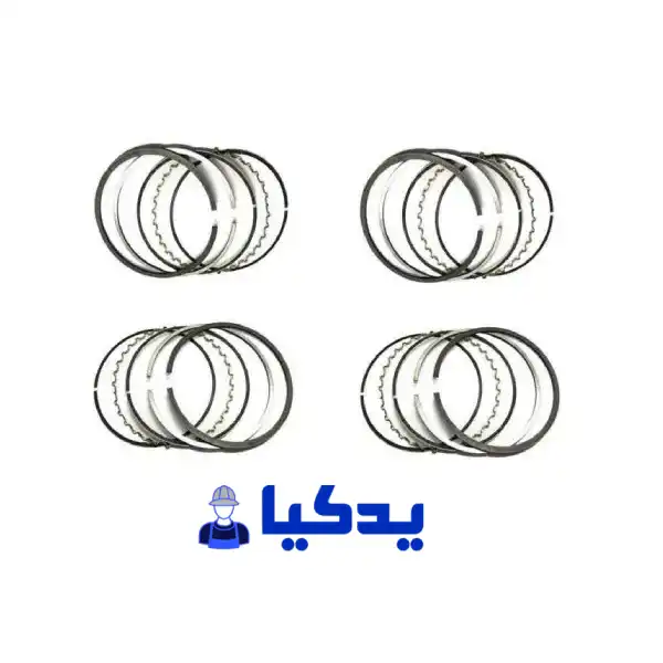 خرید و بررسی رینگ موتور پراید یورو ۴ استاندارد NE آلمان