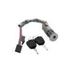 سوییچ استارت پژو 405 پارس دوفیش جدید اکومکس
