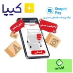 خرید اقساطی لوازم یدکی از درگاه‌های اسنپ‌پی، ترب‌پی و کیپا